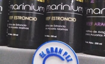 El Gran Pez - Acuario y Petshop