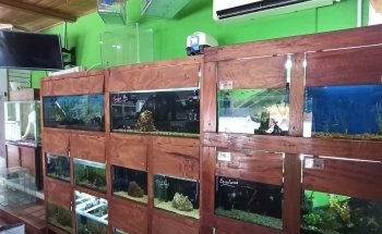 Forrajería El Boyero