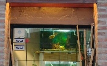 Acuario Artesanal Vida