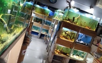 Acuario Artesanal Vida