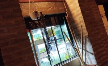 Acuario Artesanal Vida