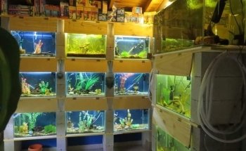 Acuario Artesanal Vida