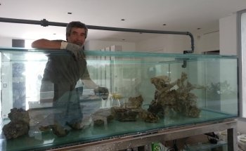 Indo Aquarium
