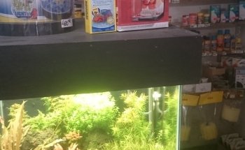 Aquarium El Bosque Vivero