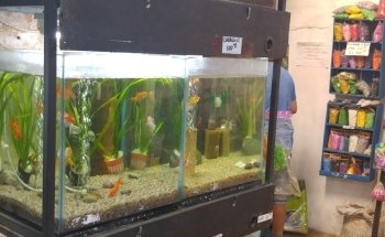 Aquarium El Bosque Vivero