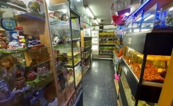 Acuario y Pet Shop LUANA Aquarium