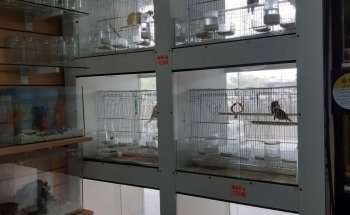 Acuario y Pet Shop LUANA Aquarium