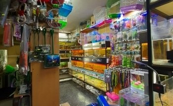 Acuario y Pet Shop LUANA Aquarium