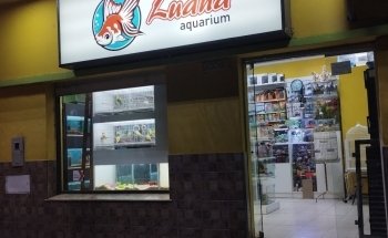 Acuario y Pet Shop LUANA Aquarium