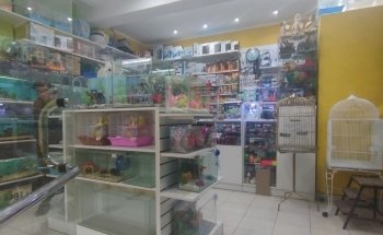 Acuario y Pet Shop LUANA Aquarium