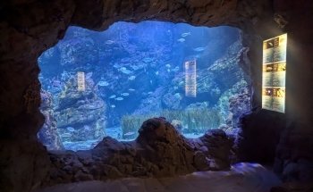 Aquarium Cabrera
