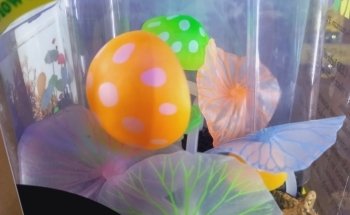 Jeo Aquarium