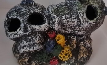 Acuario Mundo Goldfish