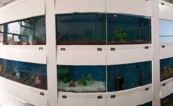 Esteban Aquarius-Dog Grooming Pet Store