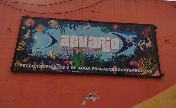 Acuario La Cueva