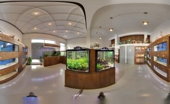 My Fish Room