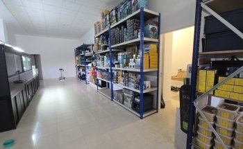 My Fish Room