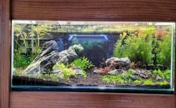 Acuario Neodis