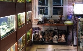 Acuario Neodis