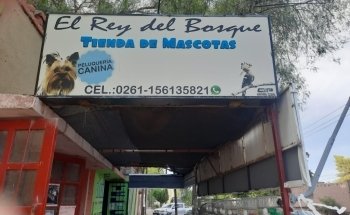 El rey del bosque -Tienda de mascotas