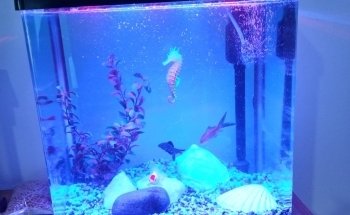 El Quebrachito Acuario y Pet Shop