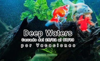 Deep Waters