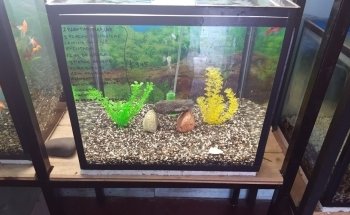 SUR ACUARIO Y FORREJERIA