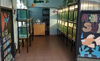 SUR ACUARIO Y FORREJERIA