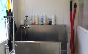 CVM - Consultorio Veterinario Merlo