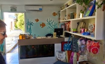 CVM - Consultorio Veterinario Merlo