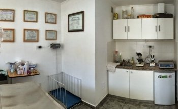 CVM - Consultorio Veterinario Merlo