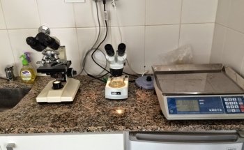 CVM - Consultorio Veterinario Merlo