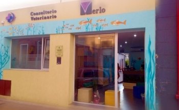 CVM - Consultorio Veterinario Merlo