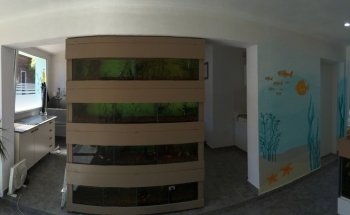 CVM - Consultorio Veterinario Merlo