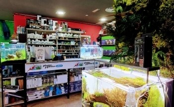 PlantasyGambas & Reef