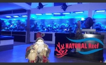 Natural reef argentina