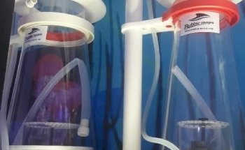 Natural reef argentina