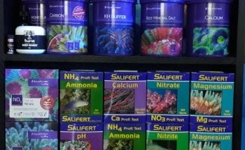 Arrecife Natural Argentina