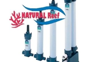 Natural reef argentina