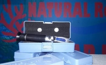 Natural reef argentina