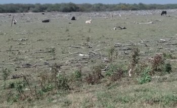 Embalse La Laguna, Laguna Yema, Formosa