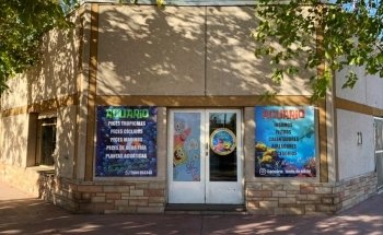 Acuario Fondo de Bikini