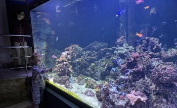 University of Murcia Aquarium