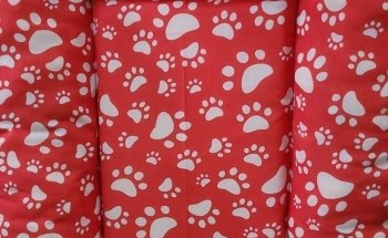 Reino Animal Petshop