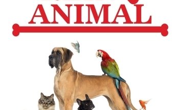 Reino Animal Petshop