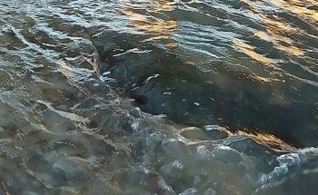 Arroyo Yuqueri Chico