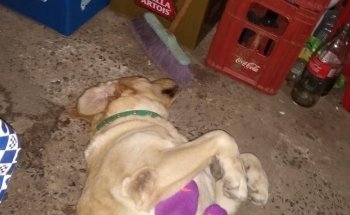 Acuario Beto Morenera