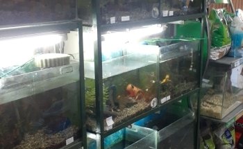 Tienda de Mascotas El Tulipán. Peluquería Canina. Acuario