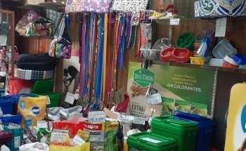 Tienda de Mascotas El Tulipán. Peluquería Canina. Acuario