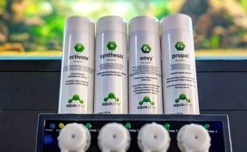 Kaminature - Jardines verticales, acuarios y césped artificial